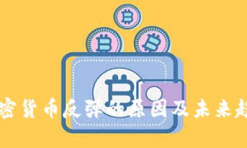 美国加密货币反弹的原因及未来趋势分析