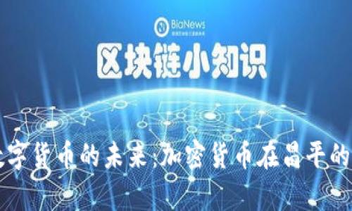 昌平区数字货币的未来：加密货币在昌平的发展前景
