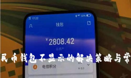 数字人民币钱包不显示的解决策略与常见问题