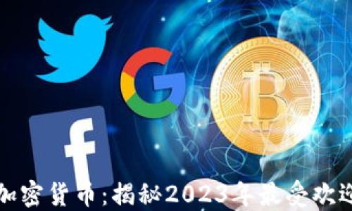 
冰墩墩数字加密货币：揭秘2023年最受欢迎的数字资产