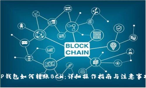 TP钱包如何转账BCH：详细操作指南与注意事项