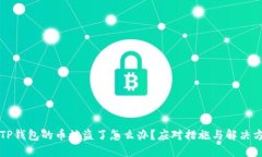 我TP钱包的币被盗了怎么办