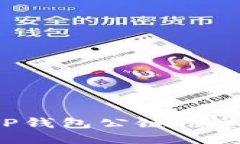 如何查看TP钱包公链信息？