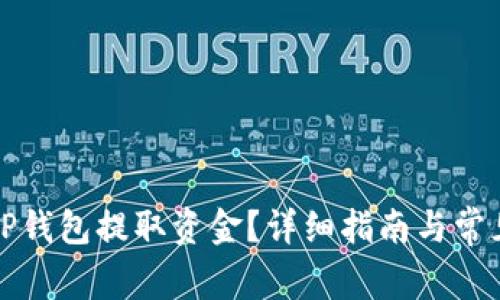 如何使用TP钱包提取资金？详细指南与常见问题解答