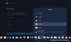 如何在苹果12手机上下载
