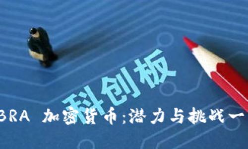 IBRA 加密货币：潜力与挑战一览