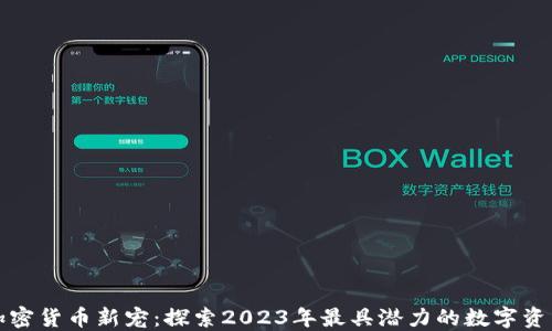 
加密货币新宠：探索2023年最具潜力的数字资产