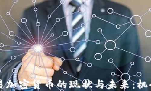 
印度交易加密货币的现状与未来：机会与挑战