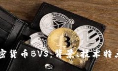 深入了解加密货币BVS：背