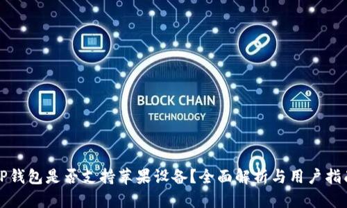 TP钱包是否支持苹果设备？全面解析与用户指南