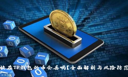 放在TP钱包的币会丢吗？全面解析与风险防范