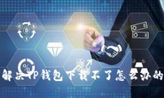 如何解决TP钱包下载不了怎