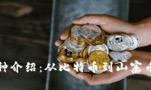 加密货币品种介绍：从比特币到山寨币的全景分析