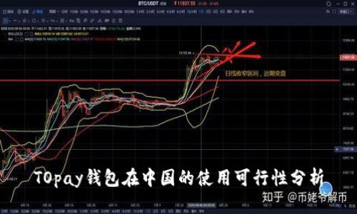 TOpay钱包在中国的使用可行性分析