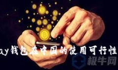 TOpay钱包在中国的使用可行