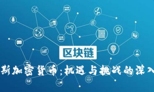 白罗斯加密货币：机遇与挑战的深入分析