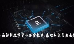 : 全面解析数字货币加密技