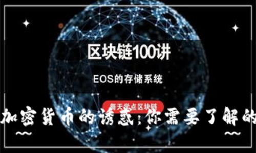 揭开加密货币的诱惑：你需要了解的真相