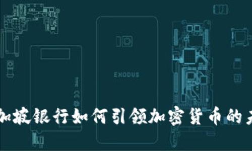 新加坡银行如何引领加密货币的未来