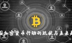 美国加密货币行动的现状