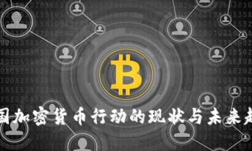 美国加密货币行动的现状与未来趋势