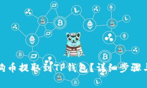如何将狗狗币提取到TP钱包？详细步骤与注意事项