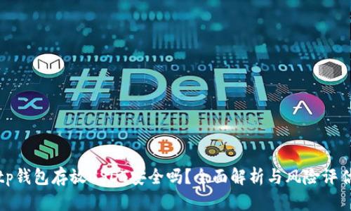 tp钱包存放USDT安全吗？全面解析与风险评估