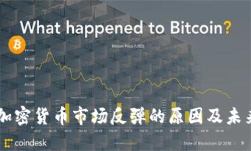 美国加密货币市场反弹的原因及未来展望