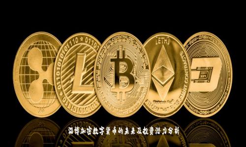 淄博加密数字货币的未来及投资潜力分析