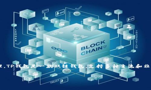 非主流币（或称为山寨币）确实可以在TP钱包（Trust Wallet）中进行存储和管理。TP钱包是一款双链钱包，支持多种主流和非主流的加密货币。下面是在TP钱包中提到非主流币的一些信息、大纲和相关问题。


如何使用TP钱包管理非主流币：全面指南