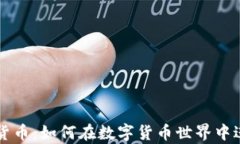 揭秘寿司加密货币：如何