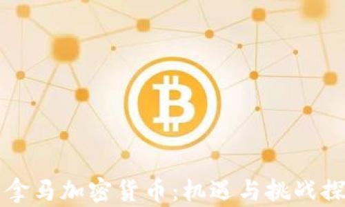 
巴拿马加密货币：机遇与挑战探讨