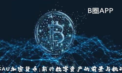 
SAU加密货币：新兴数字资产的前景与挑战
