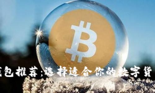 最佳数字货币钱包推荐：选择适合你的数字货币存储解决方案