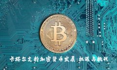 卡塔尔支持加密货币发展