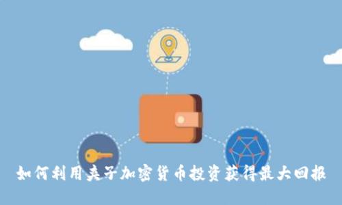 如何利用夹子加密货币投资获得最大回报