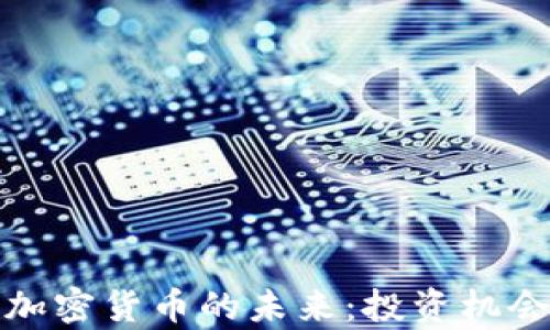 
探索元宇宙加密货币的未来：投资机会与风险分析