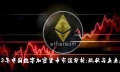 2023年中国数字加密货币市