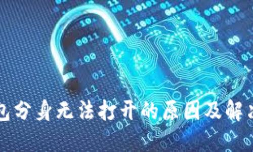 TP钱包分身无法打开的原因及解决办法