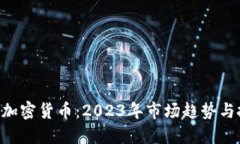 国际BTC加密货币：2023年市