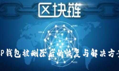 TP钱包被删除后的恢复与解决方案