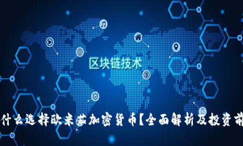 为什么选择欧米茄加密货币？全面解析及投资前景
