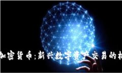 米治平台加密货币：新兴