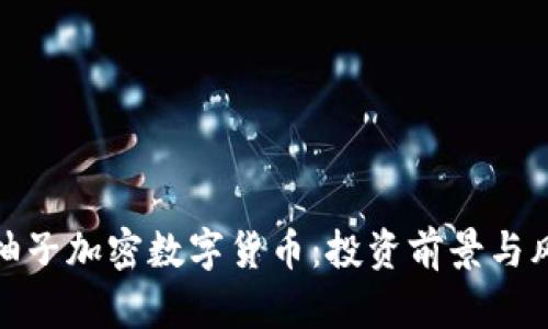 : 探秘柚子加密数字货币：投资前景与风险分析