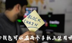   TP钱包可以在两个手机上