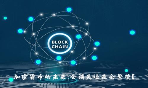 加密货币的未来：会消失还是会繁荣？