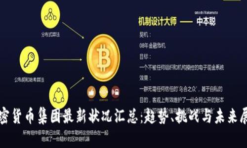 加密货币集团最新状况汇总：趋势、挑战与未来展望