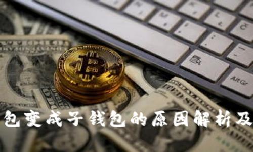 TP身份钱包变成子钱包的原因解析及应用前景
