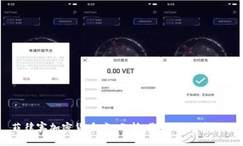 菲律宾加密货币案：分析、影响及法律框架