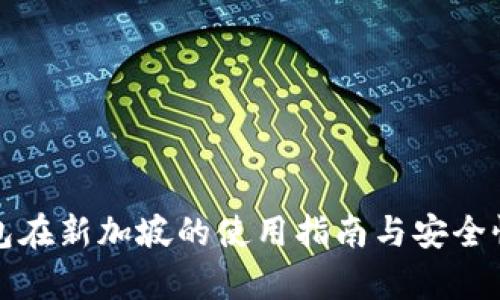 TP钱包在新加坡的使用指南与安全性分析